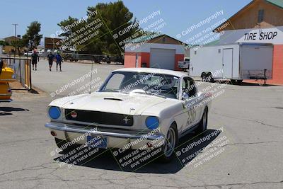 media/May-07-2022-Cobra Owners Club of America (Sat) [[e681d2ddb7]]/Around the Pits/